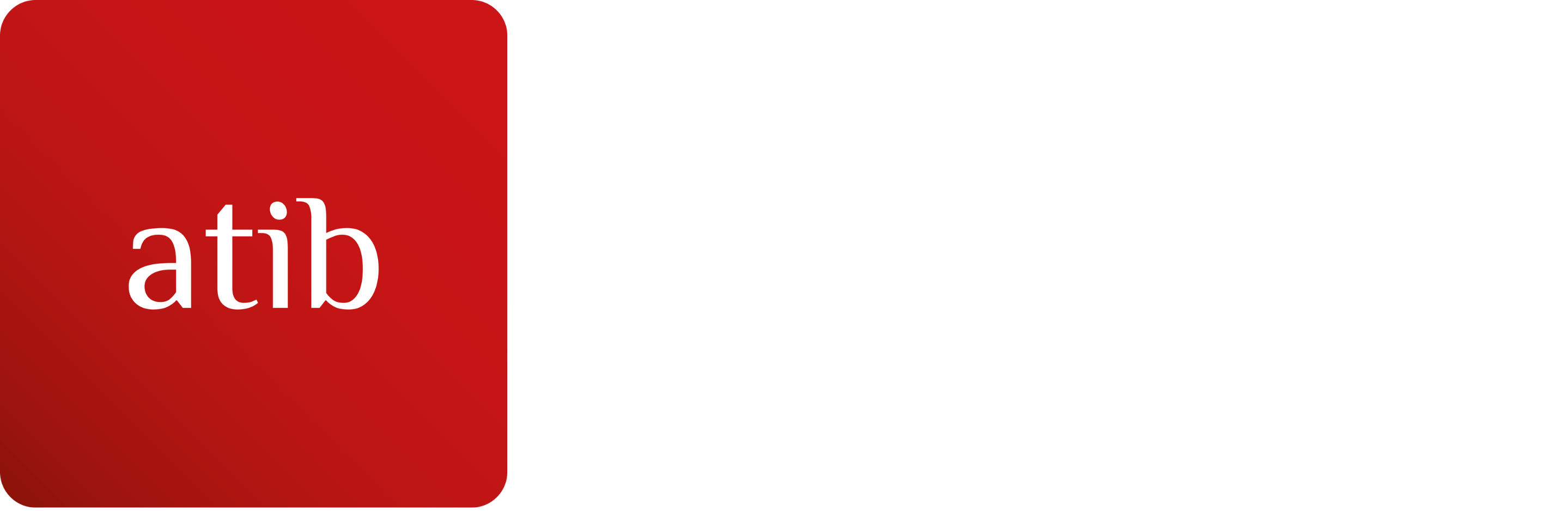ATIB Union